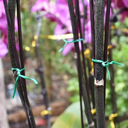 Alambre de jardin plastificado con dispensador 40 M Verde