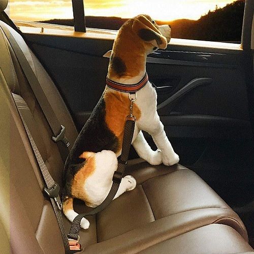 Cinturon de seguridad para perros 0.75 M Verde