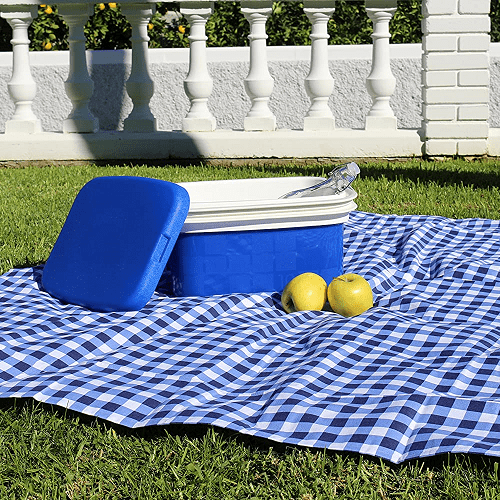 Nevera portatil 10 Litros Azul