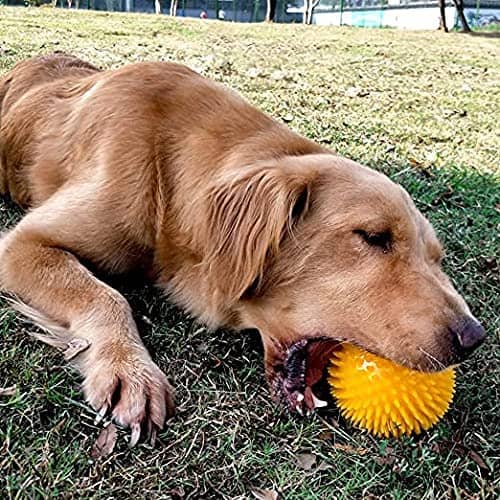 Pelota para Perros erizo con sonido 6 cm Rojo