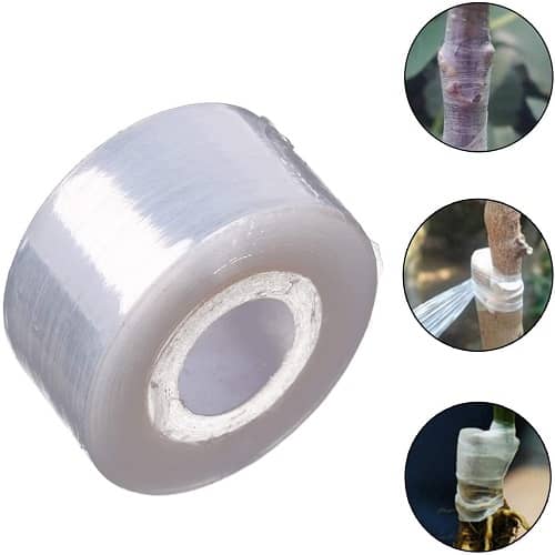 Cinta de injerto estirable autoadhesivo biodegradable 100 m 25 mm Transparente
