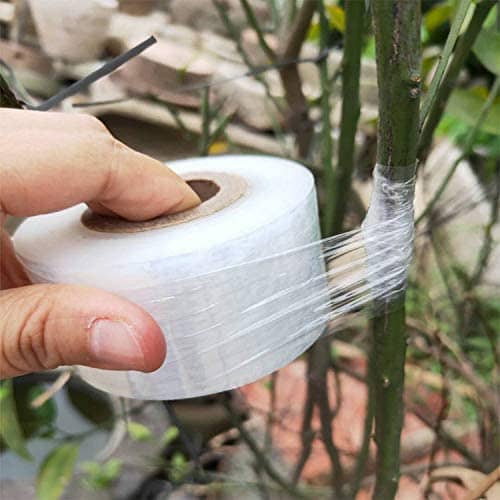 Cinta de injerto estirable autoadhesivo biodegradable 100 m 25 mm Transparente