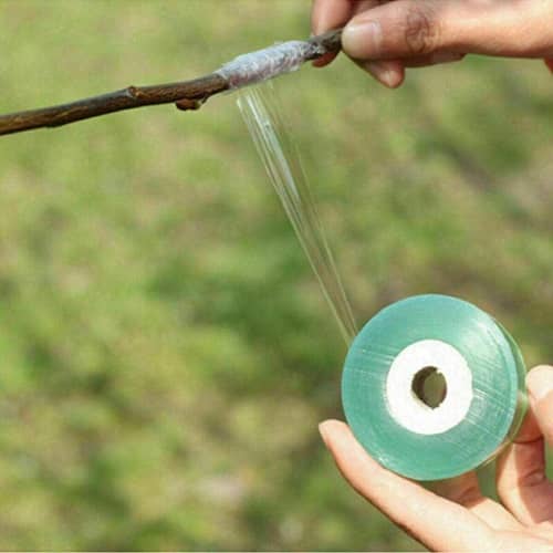 Cinta de injerto estirable autoadhesivo biodegradable 100 m 30 mm Verde