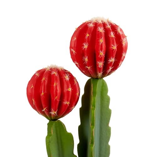 Planta de plastico cactus alto flor roja 45 cm Verde