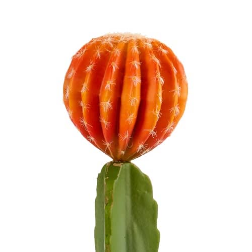 Planta de plastico cactus ancho flor naranja 40 cm Verde