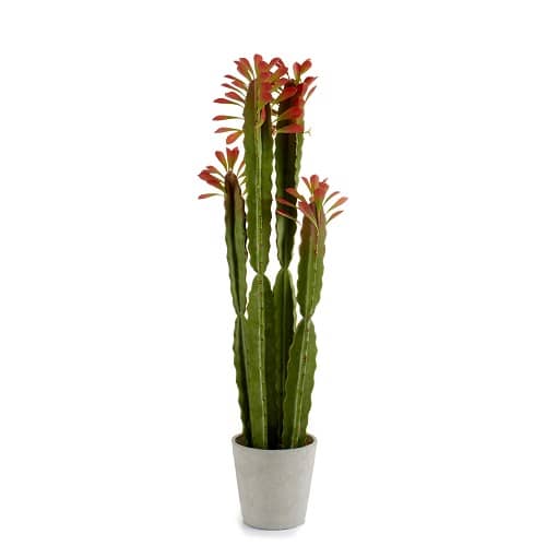 Planta de plastico cactus alto hojas rojas 98 cm Verde