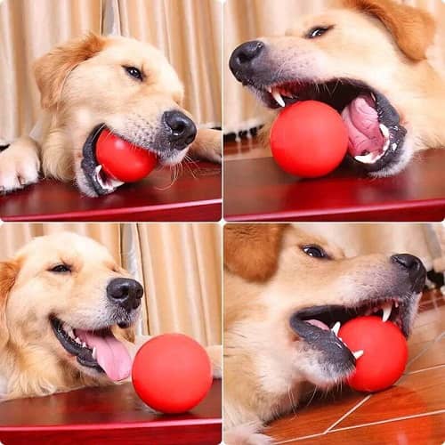 Pelota para Perros 8 cm Rojo