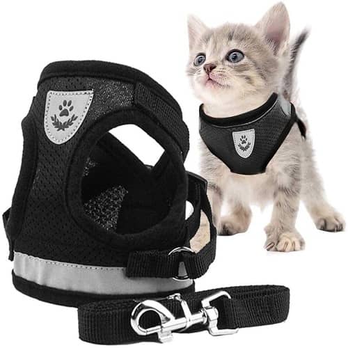 Cinturon de seguridad para gatos Talla S Negro