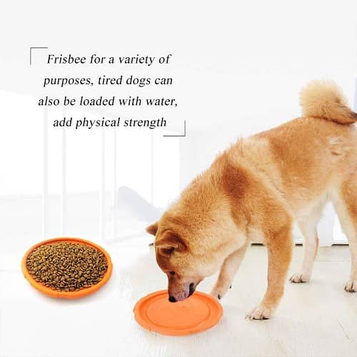 Frisbee para perro juguete disco volador para perro 15 cm Naranja