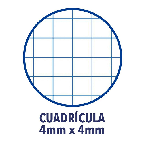 Cuaderno Oxford Classic F cuadricula 4x4 - 80 Hojas  Naranja