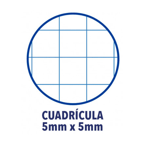 Cuaderno Oxford Microperforado A4 cuadricula - 80 Hojas  Rosa claro