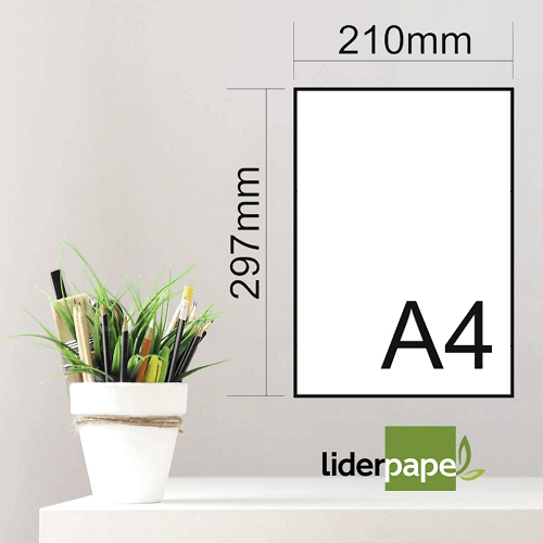 Papel color liderpapel A4 80 gr 10 colores  Multicolor