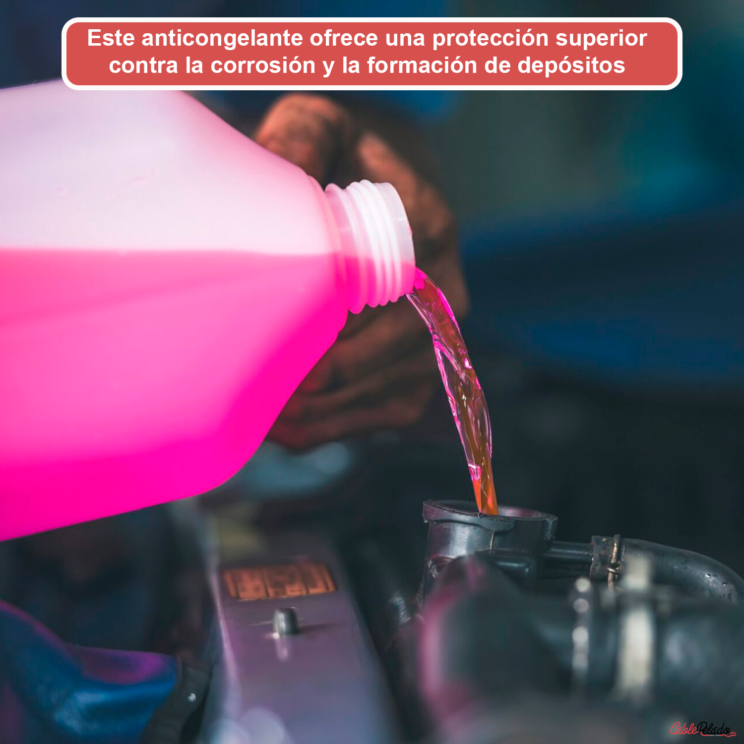 Anticongelante LÍquido Refrigerante 30% 5 Litros Rosa