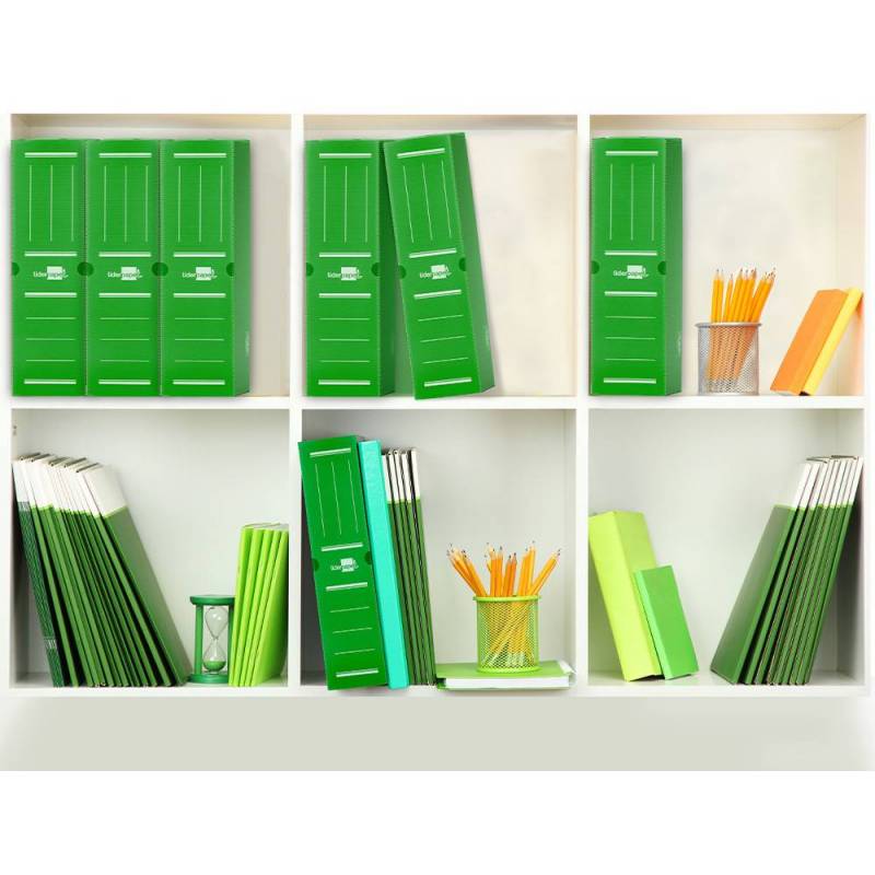 Caja archivo definitivo plastico Liderpapel 36x26x10 cm  Verde