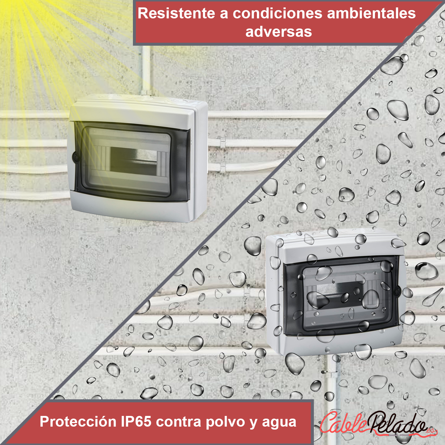 Caja ICP-65 8 elementos con puerta transparente  Gris