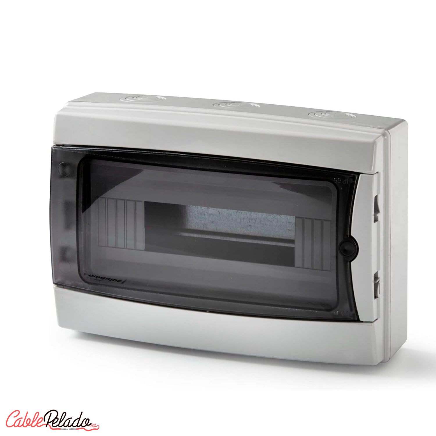 Caja ICP-65 12 elementos puerta transparente  Gris