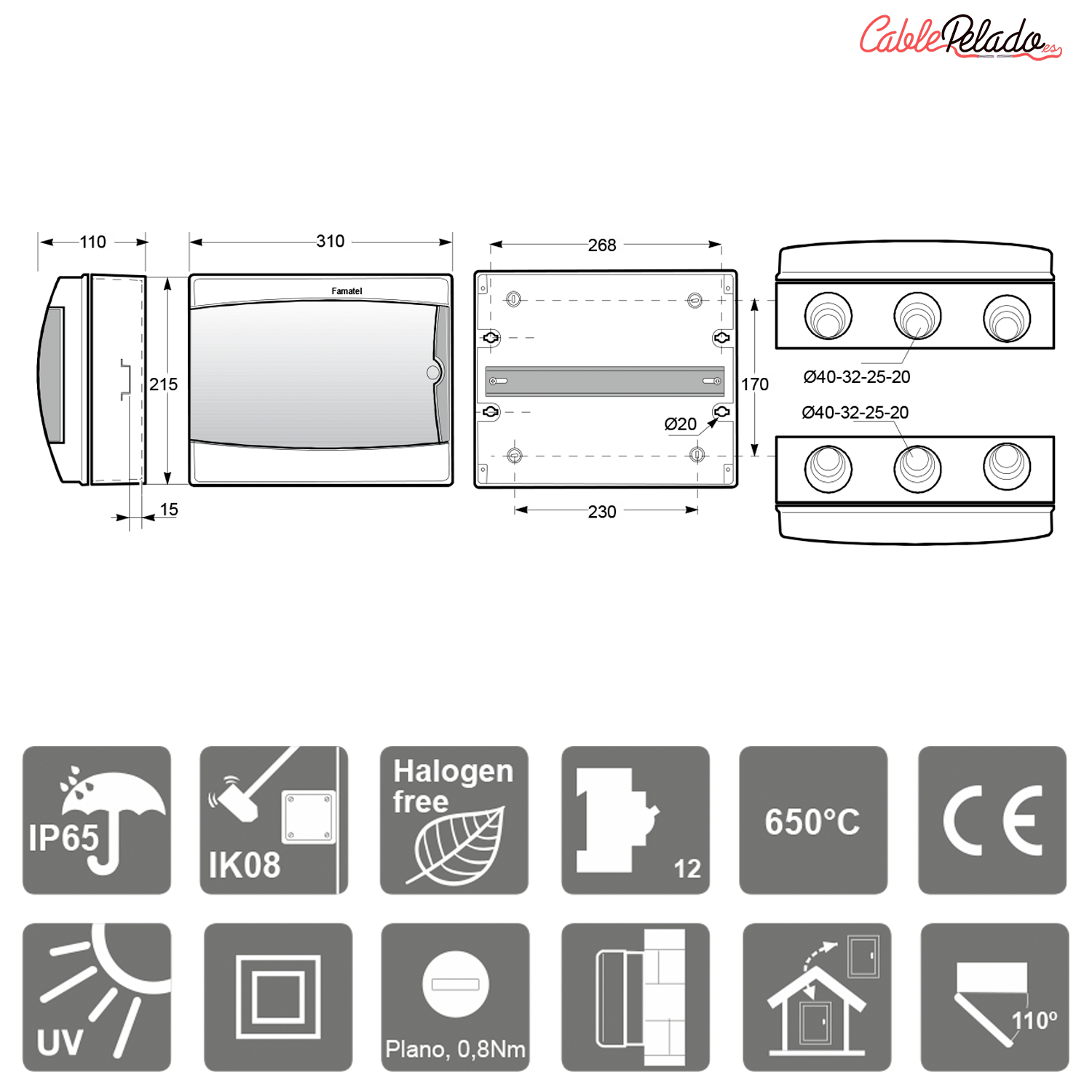 Caja ICP-65 12 elementos puerta transparente  Gris
