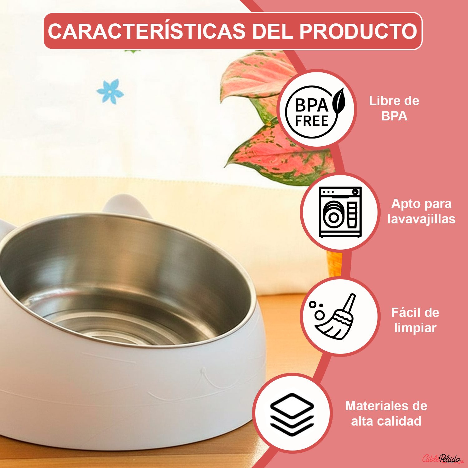 Comedero Inclinado Con Orejas Para Mascotas  Blanco