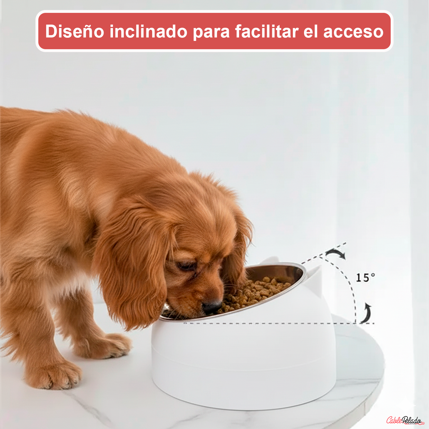 Comedero Inclinado Con Orejas Para Mascotas  Blanco