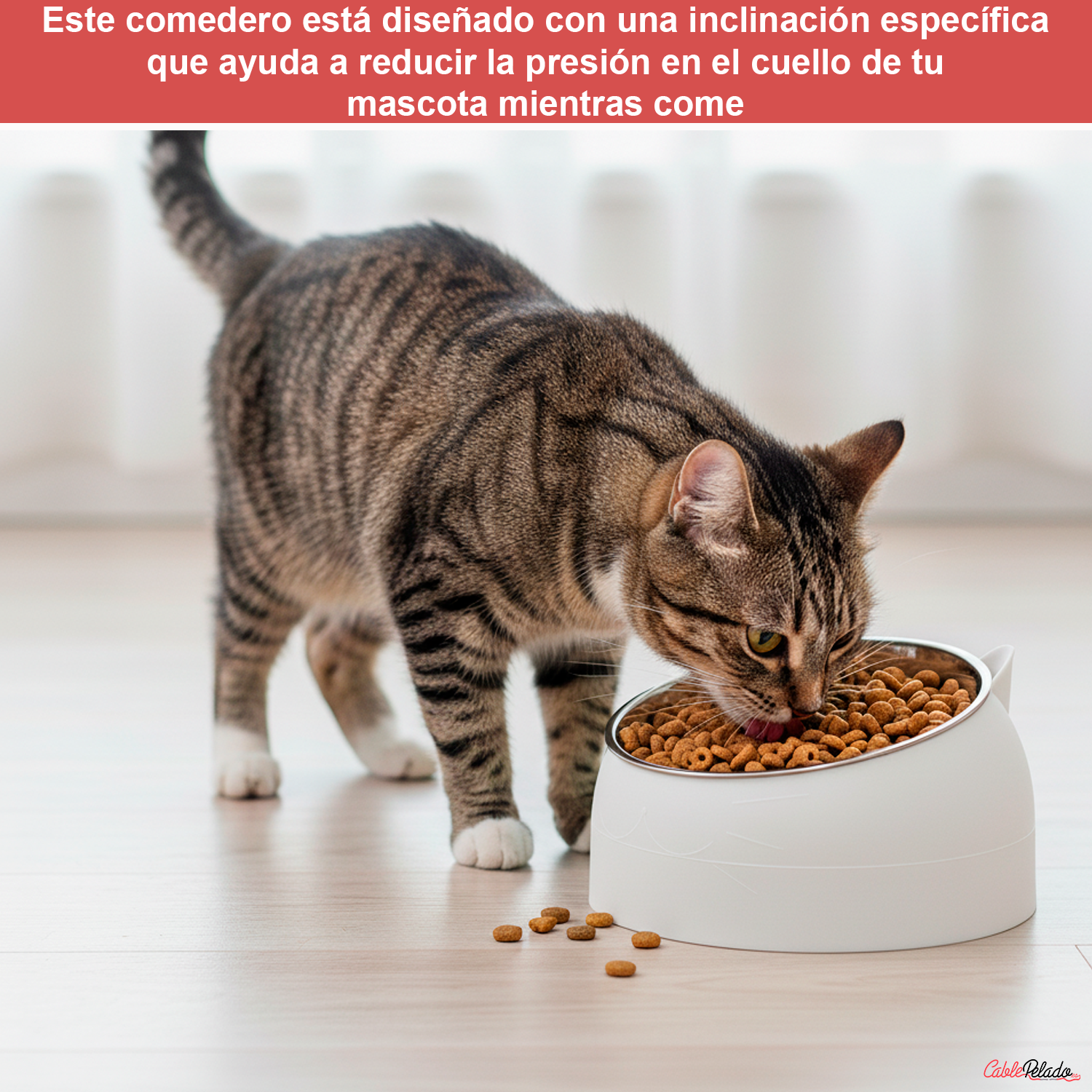 Comedero Inclinado Con Orejas Para Mascotas  Blanco