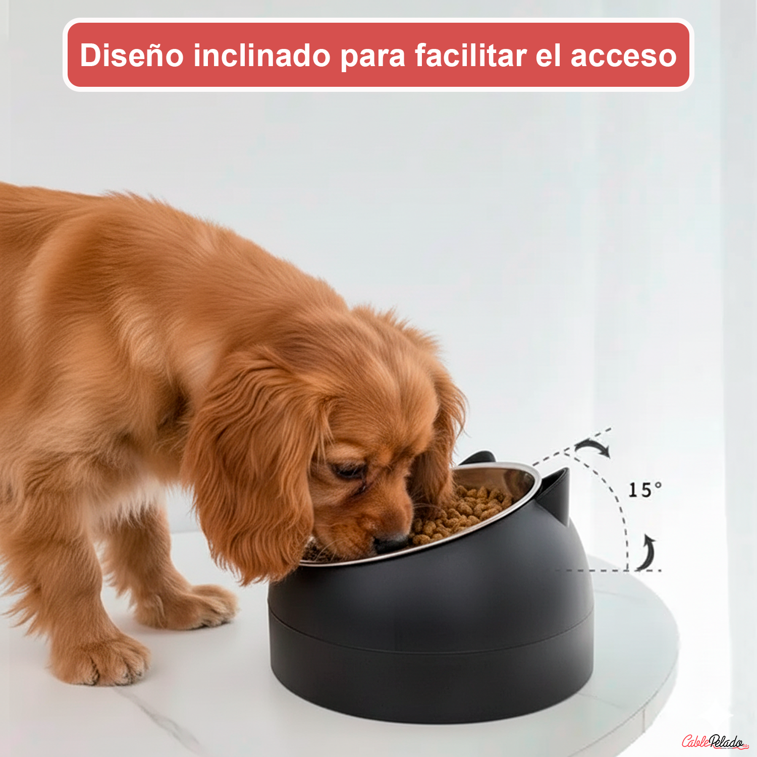 Comedero Inclinado Con Orejas Para Mascotas  Negro