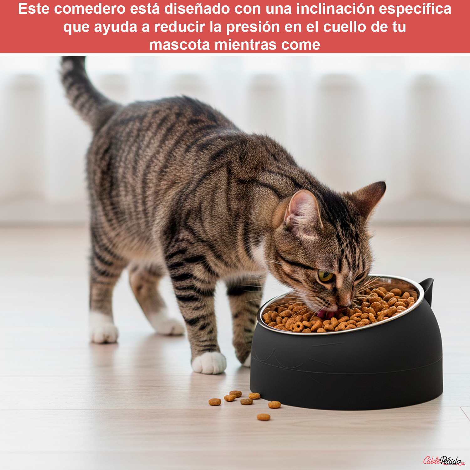 Comedero Inclinado Con Orejas Para Mascotas  Negro