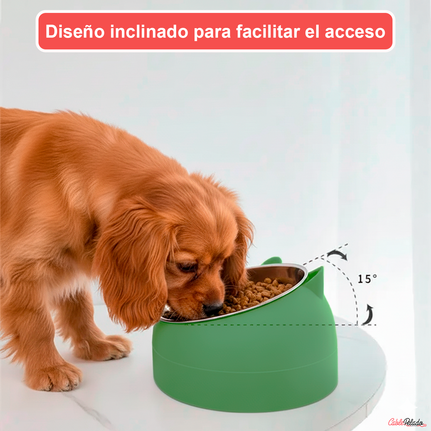 Comedero Inclinado Con Orejas Para Mascotas  Verde