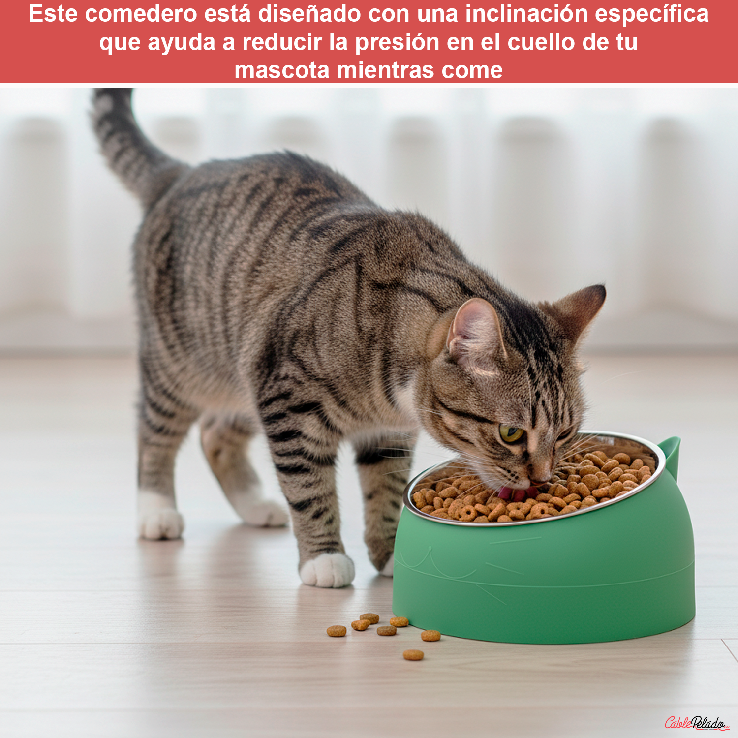 Comedero Inclinado Con Orejas Para Mascotas  Verde