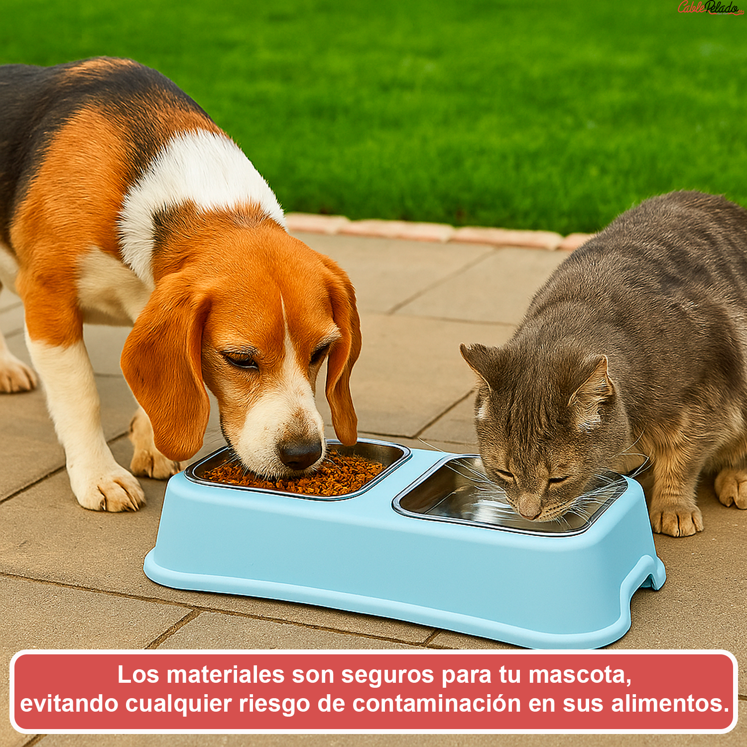 Comedero plastico rectangular doble con cuenco acero mascota  Azul claro