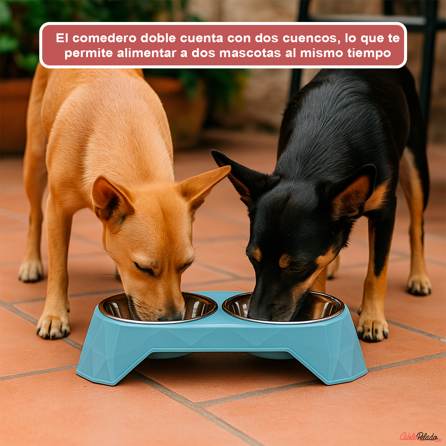 Comedero plastico rectangular doble con cuenco acero mascota  Azul claro