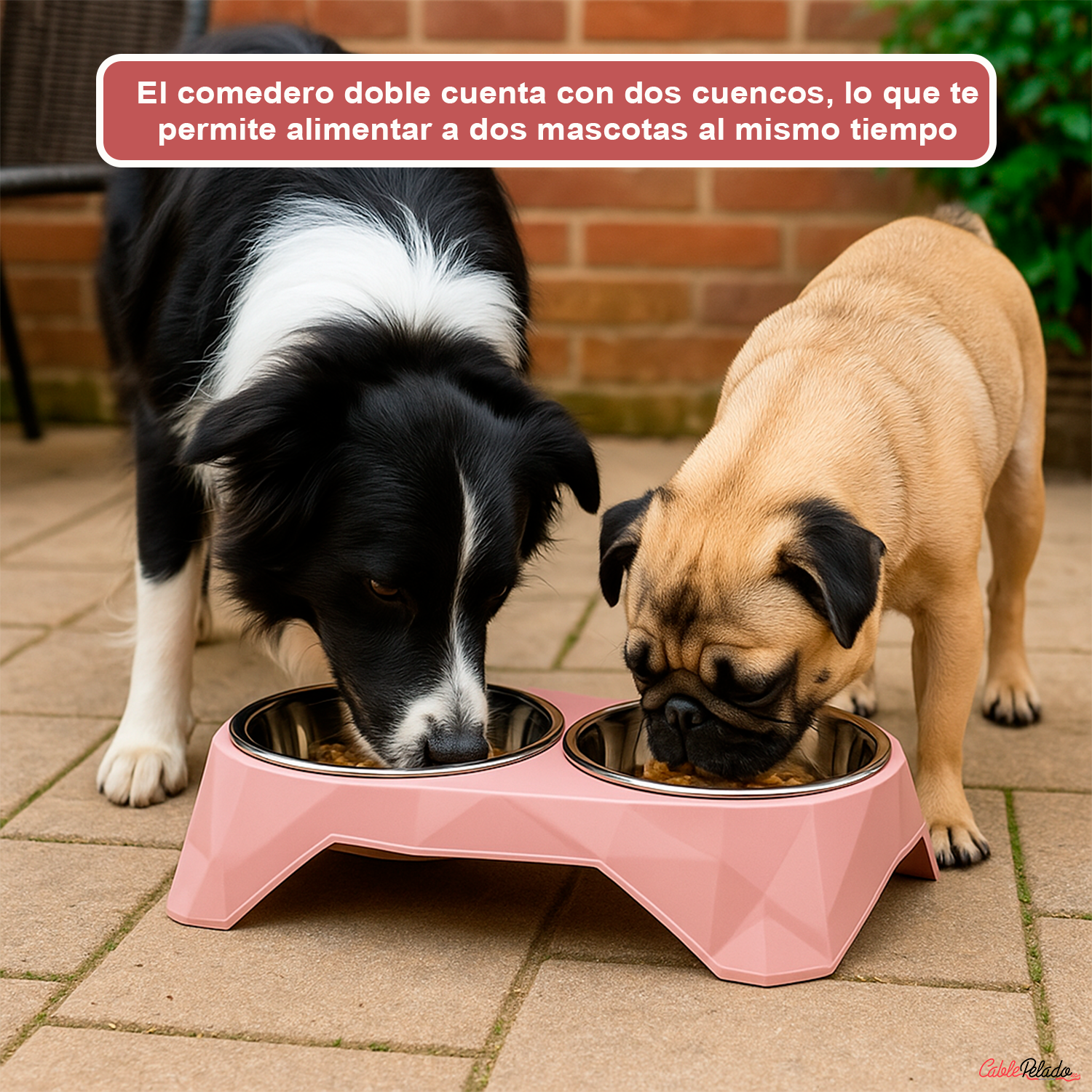 Comedero plastico rectangular doble con cuenco acero mascota  Rosa claro