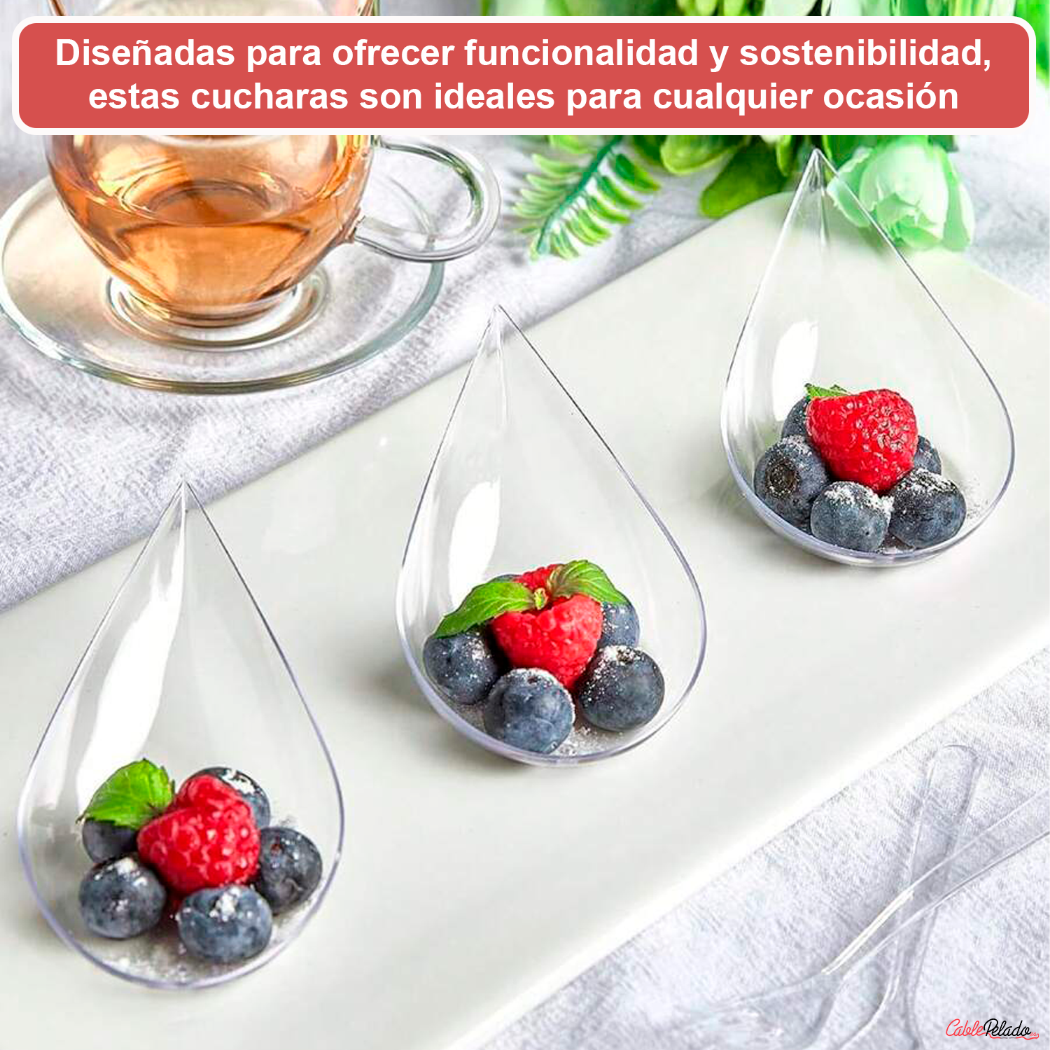 Cucharas Catering Plástico Reciclable (Pack 8 unidades)  Transparente