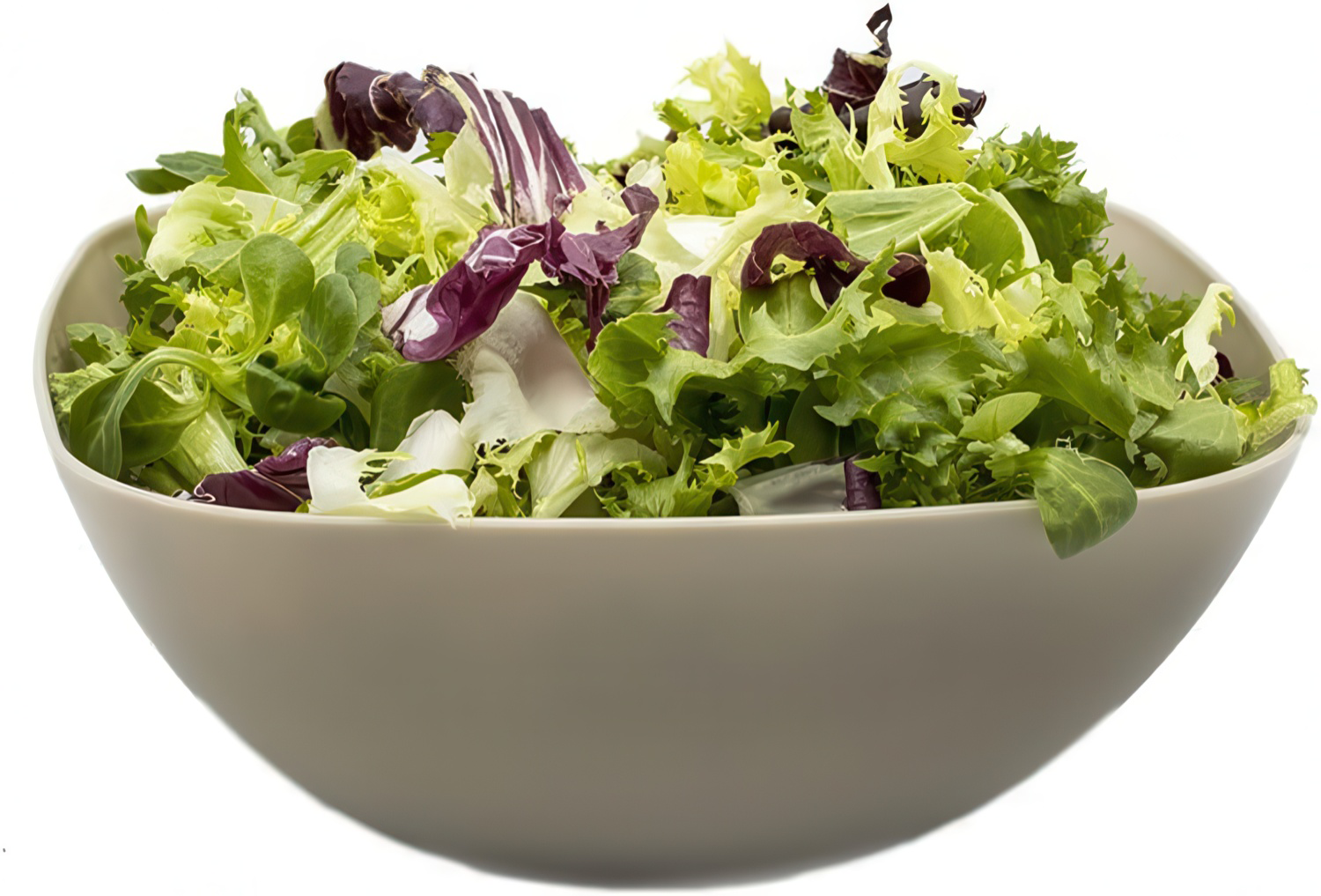 Cuenco de plastico cuadrado para comida Bol 2.7 Litros Marron