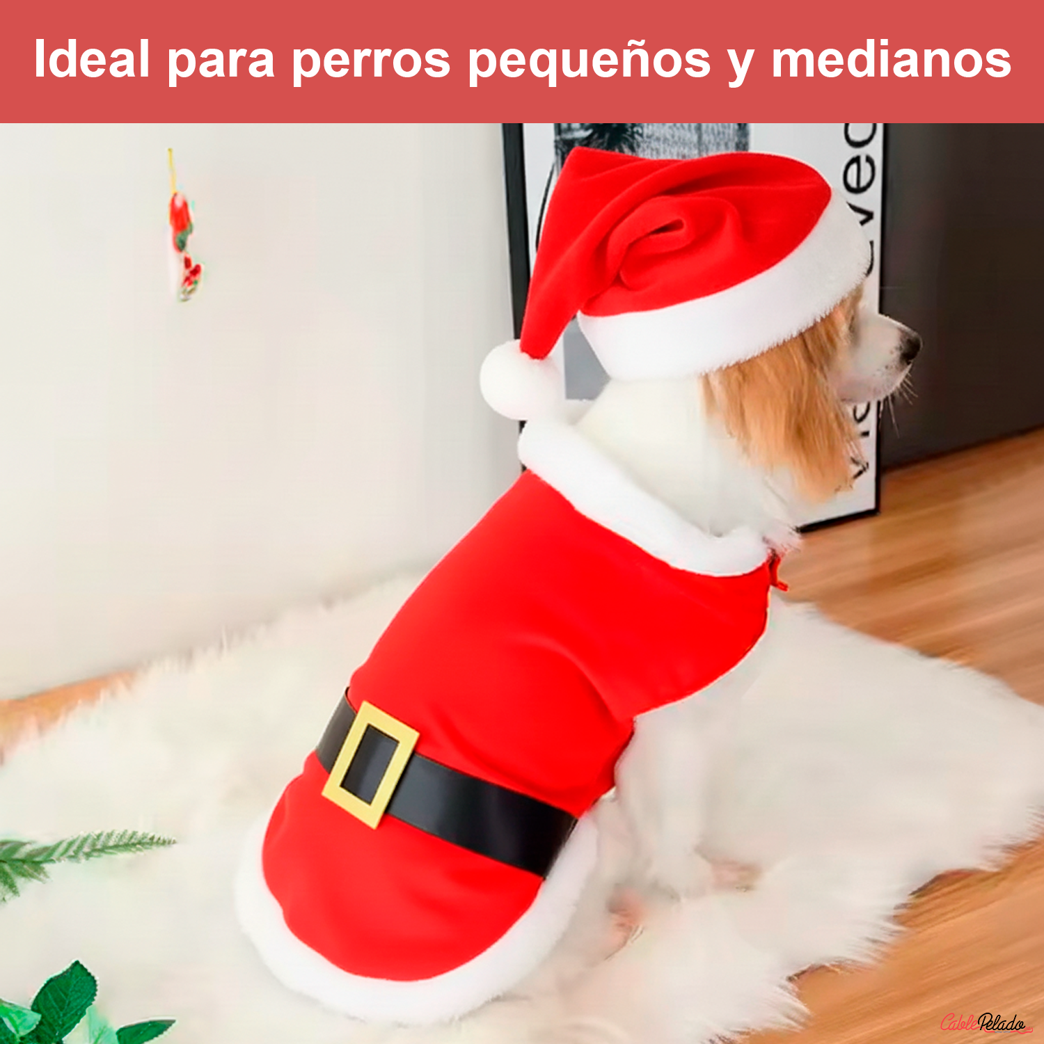Disfraz Santa Claus Para Perro  Rojo-Blanco