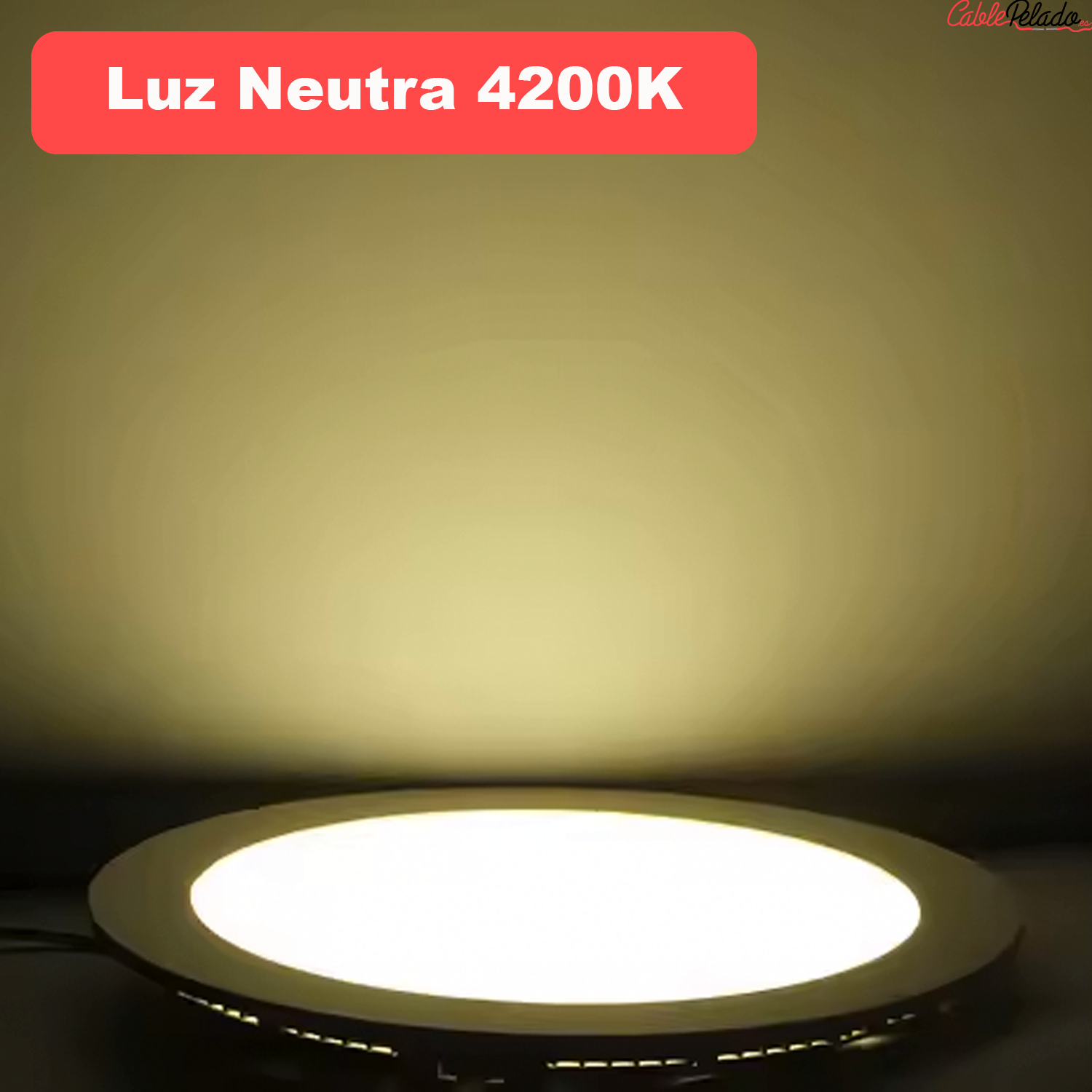 Downlight panel redondo Luz Blanca    24W