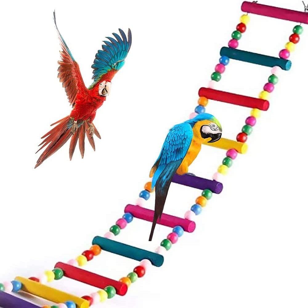 Escalera para pajaros de madera juguete pajaro  Multicolor