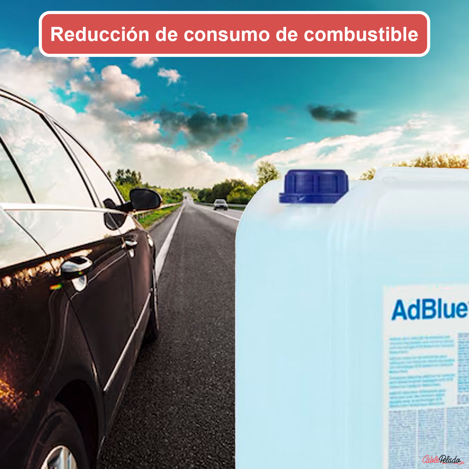 Garrafa Adblue Con Dispensador 10 Litros