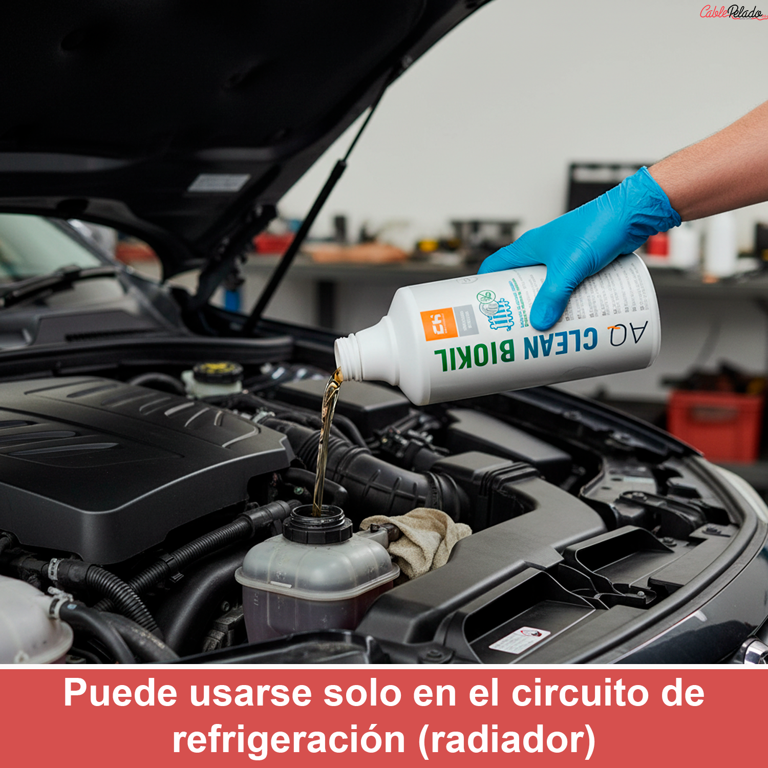 Limpiador de Suciedad Orgánica + Biocida en Sistemas de Calefacción y Circuitos Cerrados de Agua 1 L