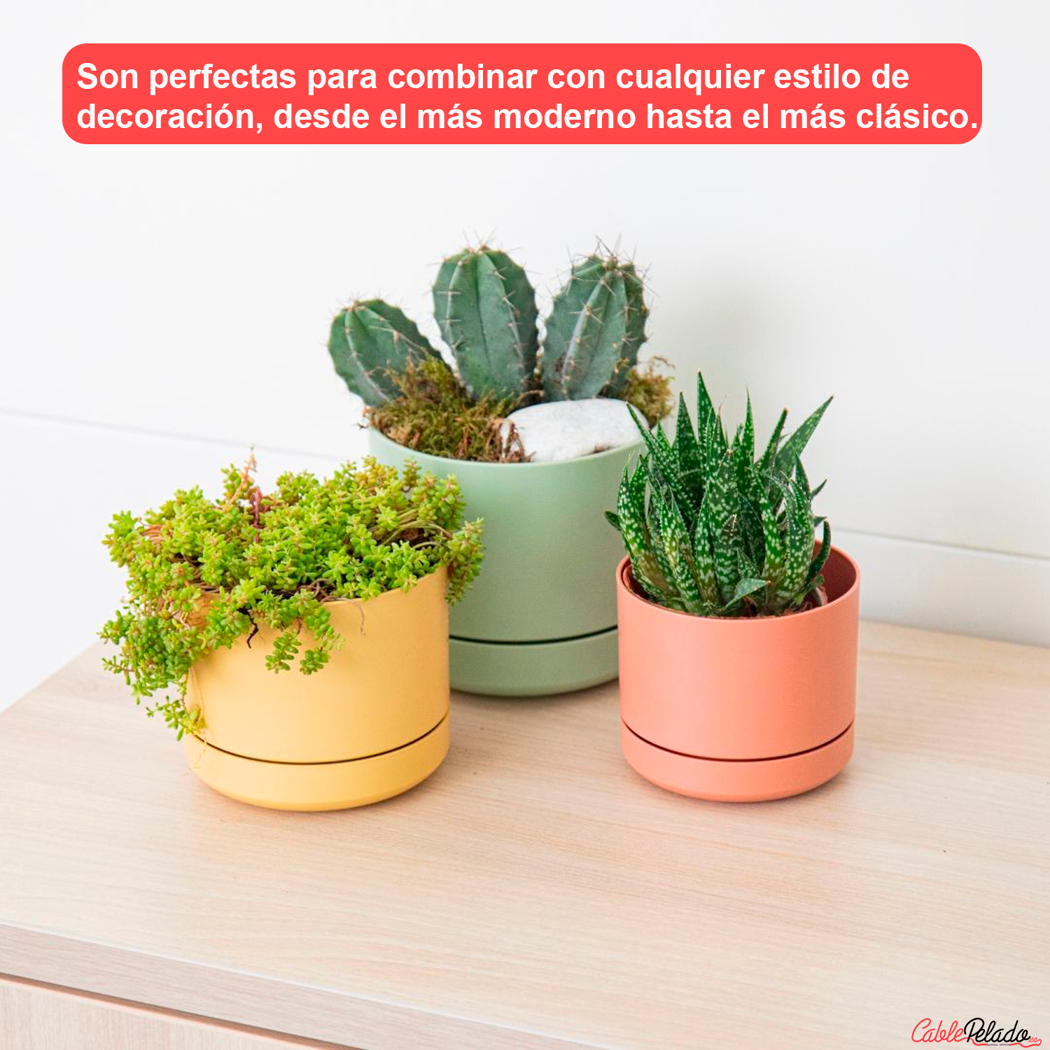 Mini Maceta Con Plato 12 Cm Pack 3 Unidades Colores Pasteles