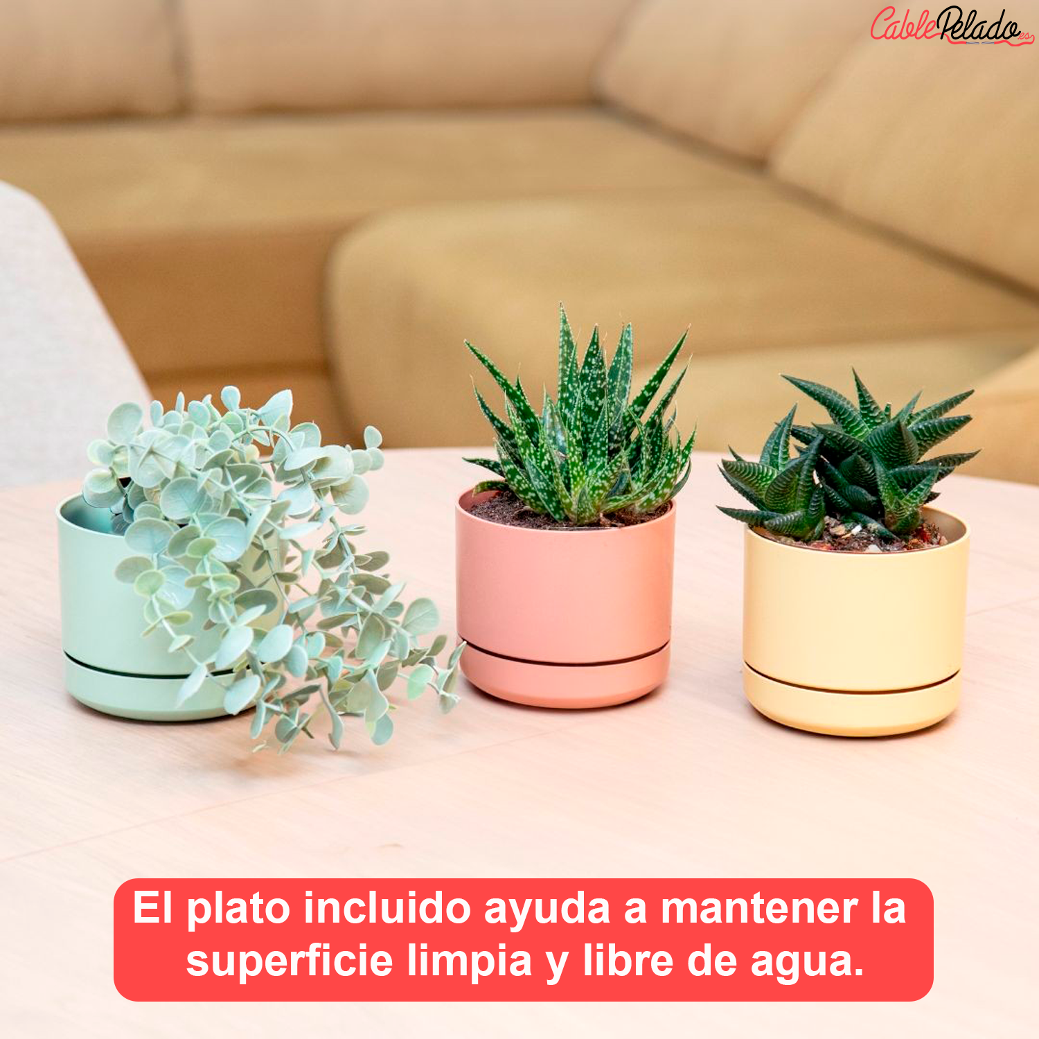 Mini Maceta Con Plato 12 Cm Pack 3 Unidades Colores Pasteles