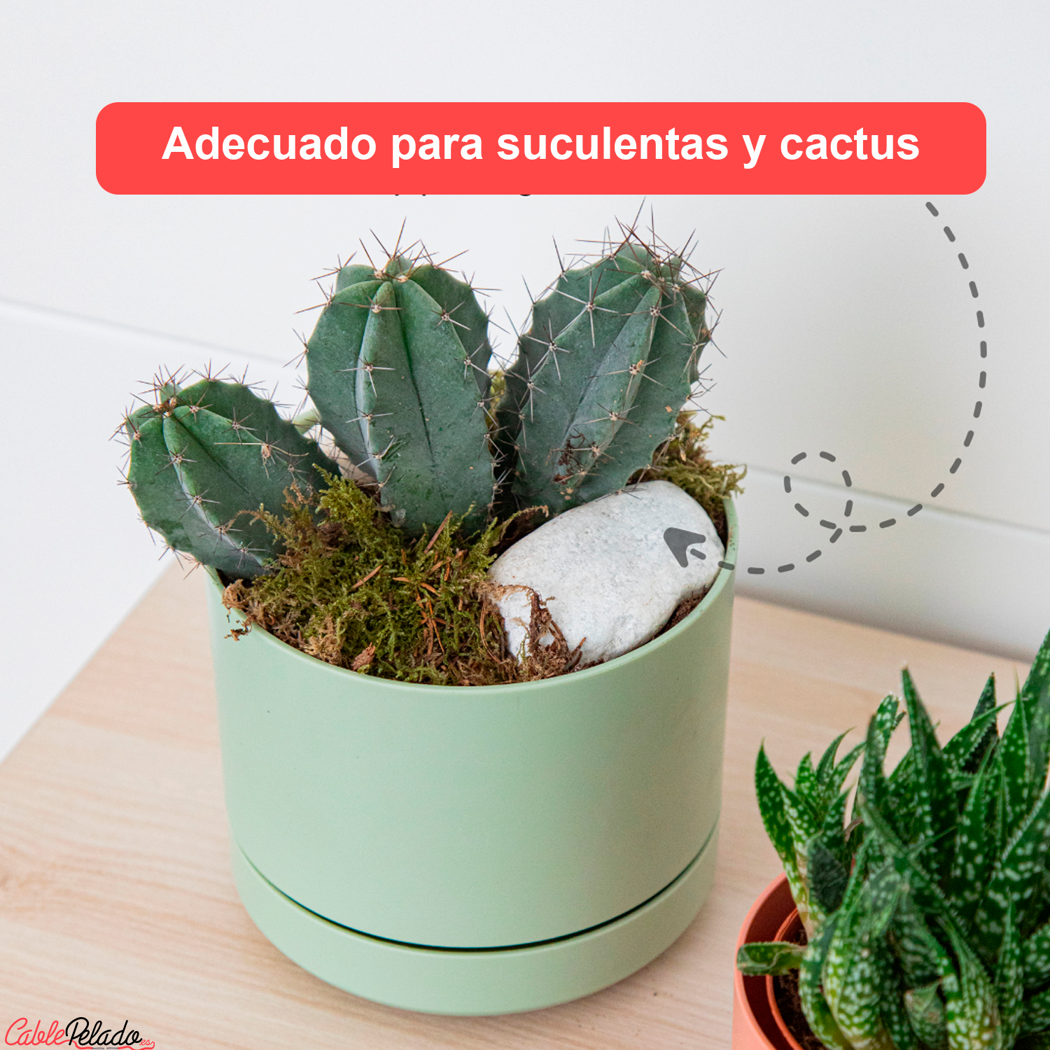 Mini Maceta Con Plato 12 Cm Pack 3 Unidades Colores Pasteles