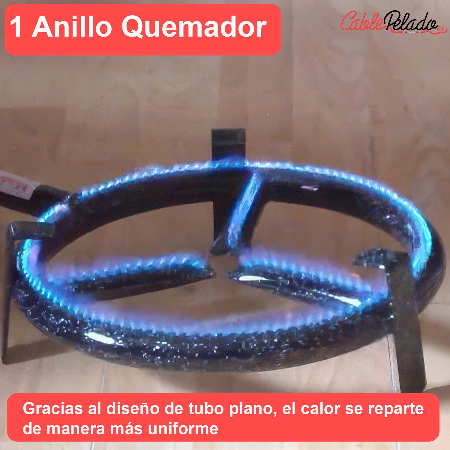 Paellero Gas Butano 30 cm Negro
