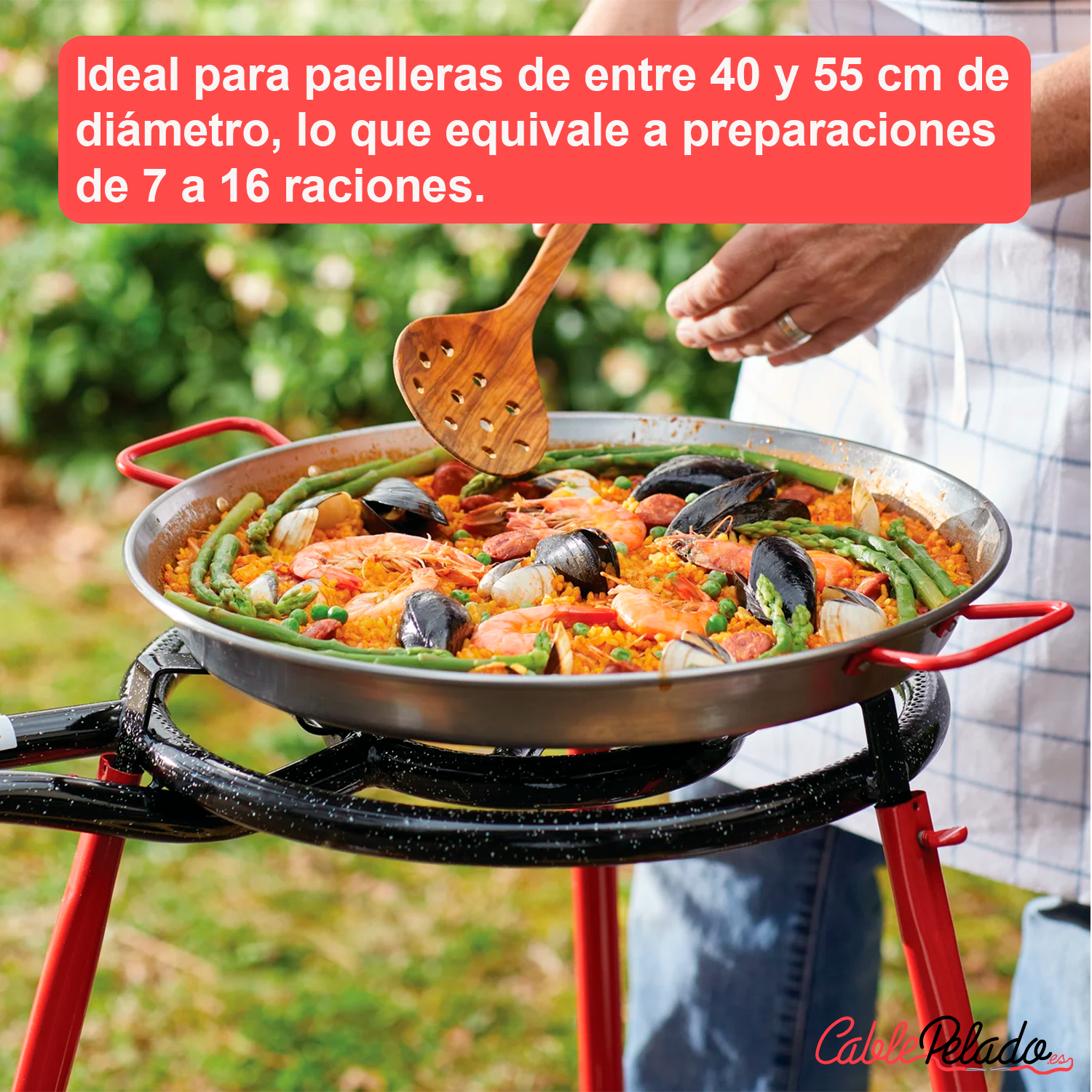 Paellero Gas Butano 30 cm Negro