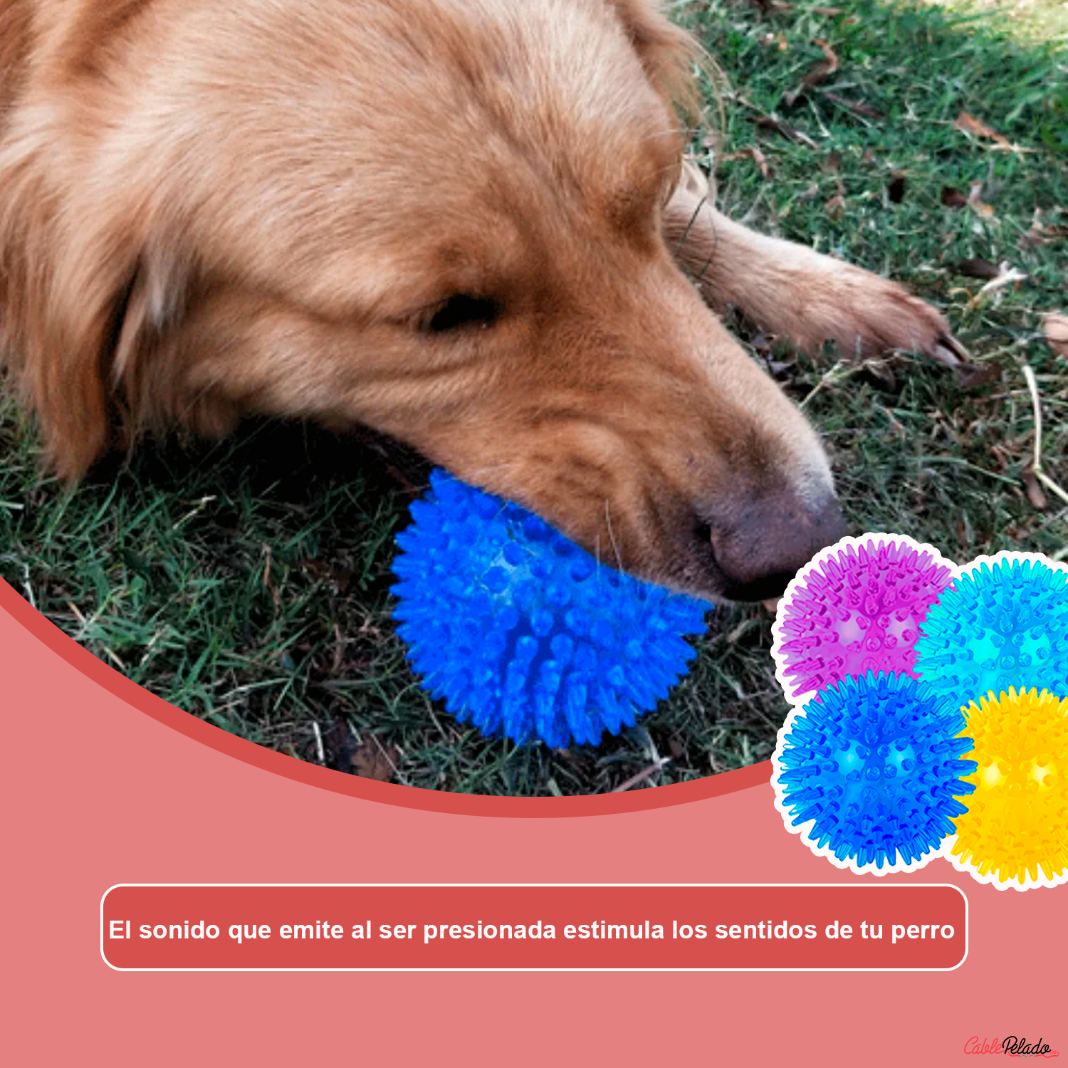 Pelota para Perros Erizo Con Sonido 6 cm Azul