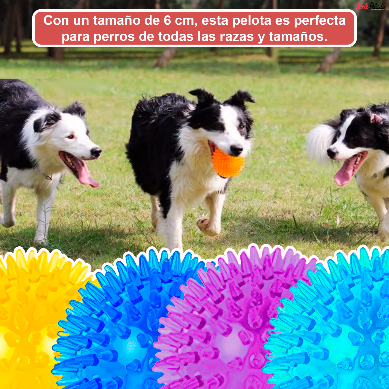 Pelota para Perros Erizo Con Sonido 6 cm Morado