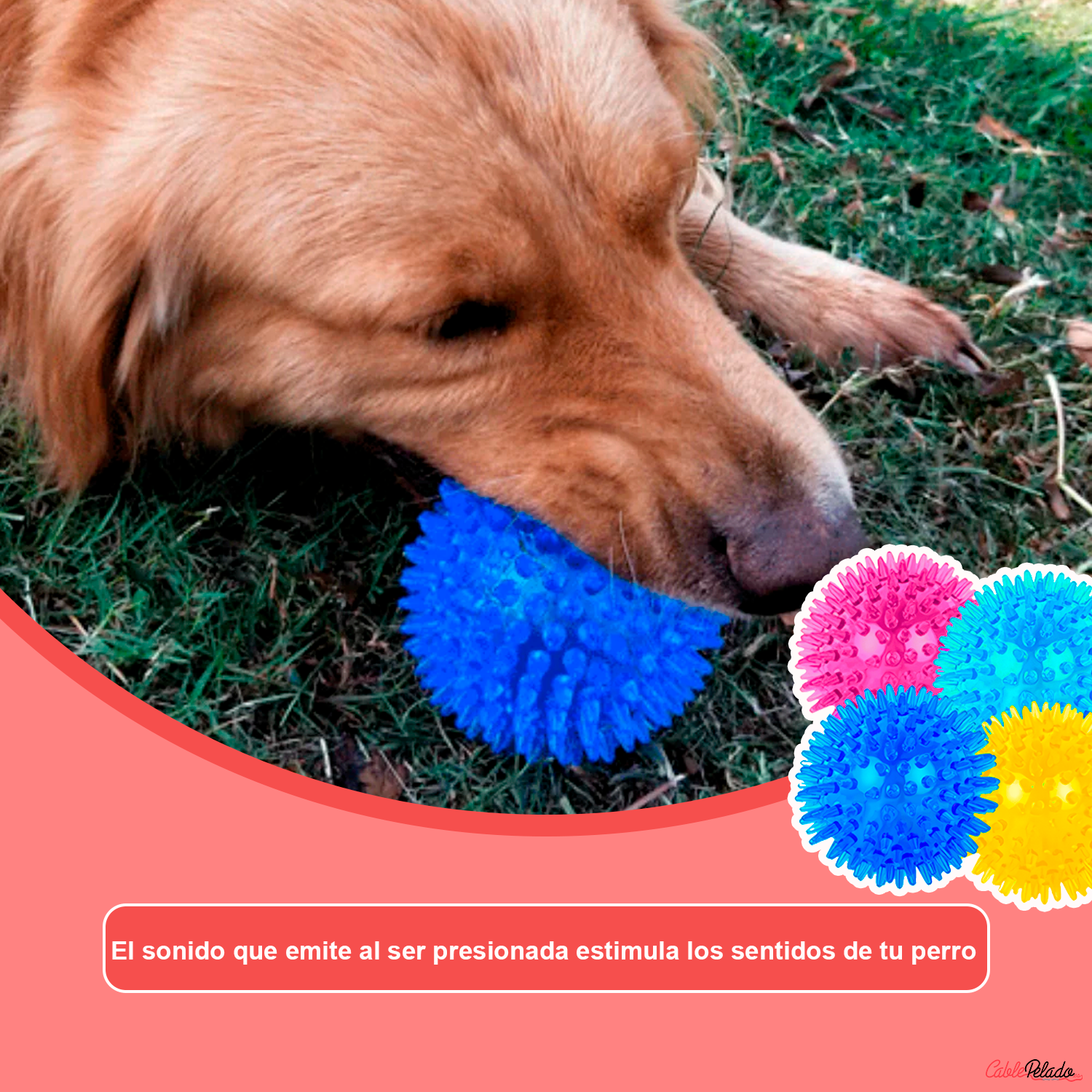 Pelota para Perros Erizo Con Sonido 6 cm Rosa Frambuesa
