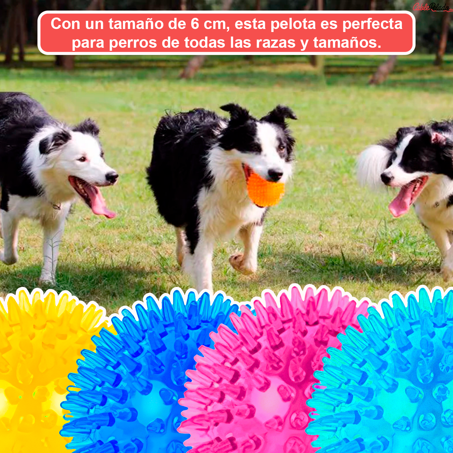Pelota para Perros Erizo Con Sonido 6 cm Rosa Frambuesa