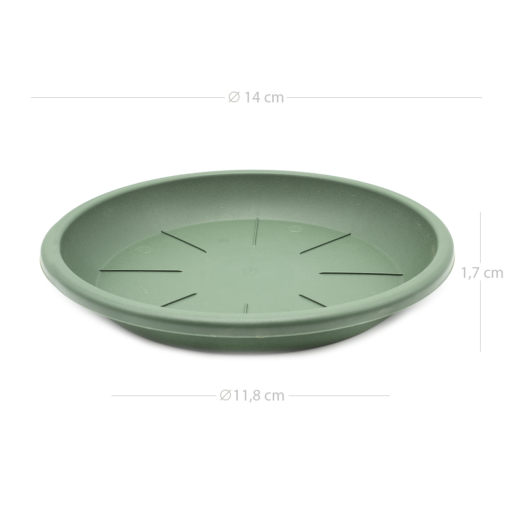 Plato maceta 14 cm Verde