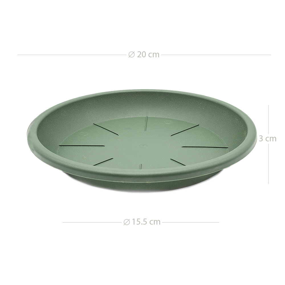 Plato maceta 20 cm Verde