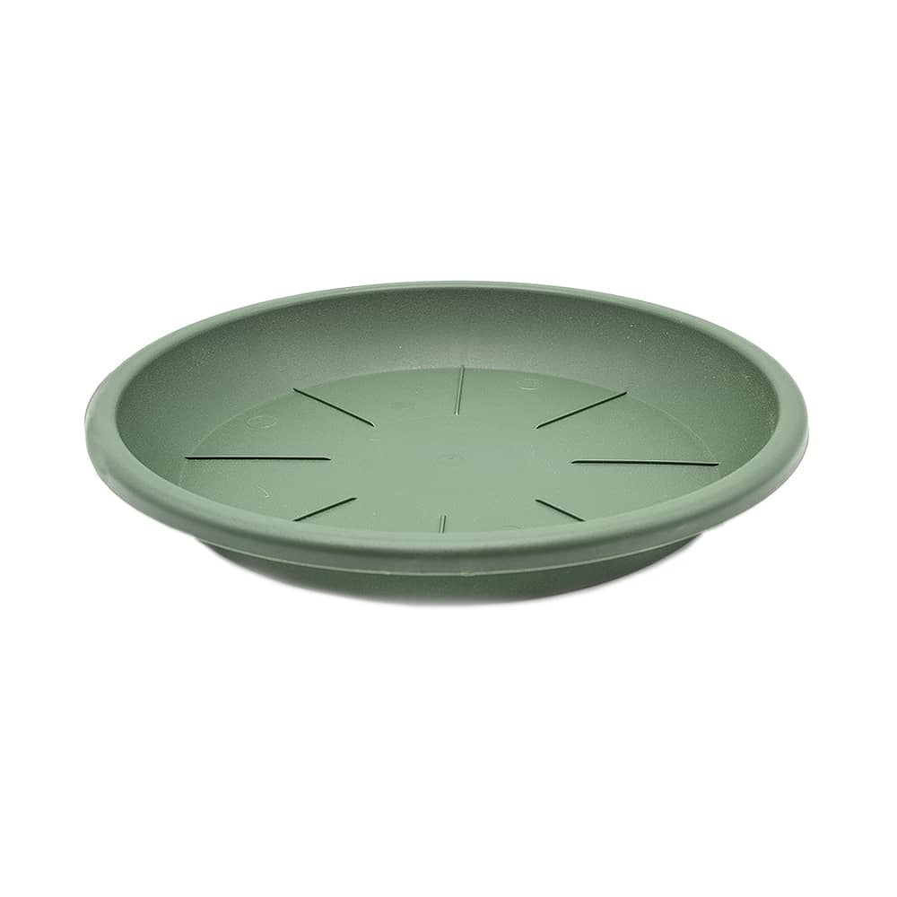Plato maceta 20 cm Verde
